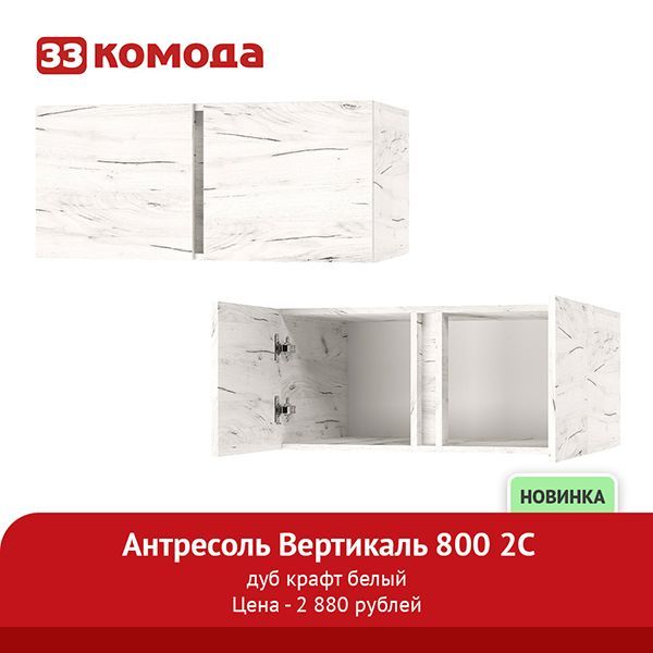 антр-вертикаль-800-бел.jpg