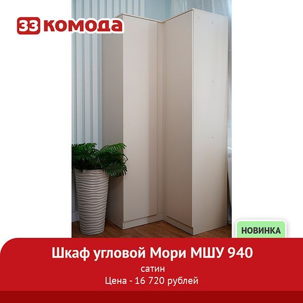 шкаф-угл.jpg